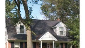 Promoting The Benefits Of Plants