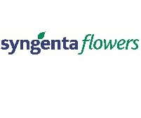 Syngenta Offers Goldsmith Scholarships for Excellence in Plant Breeding, Ornamental Horticulture Business
