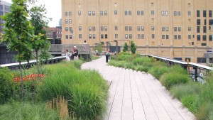 We Could Be Growing More Green Infrastructure Plants That Work, Says Shannon Currey