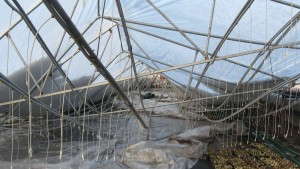 Hortica Insurance To Become Member Of Sentry Insurance Group