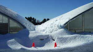 10 Snow-Related Causes Of Greenhouse Failure