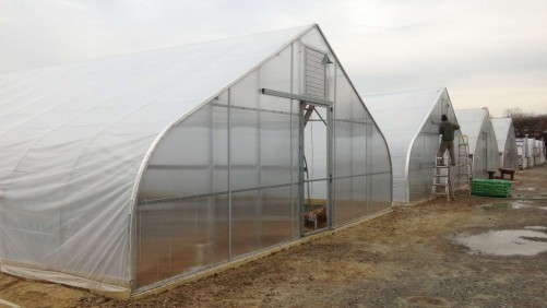 LINX Greenhouses Division Adds An Affordable New Tier To Nexus Corp.’s Offerings