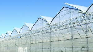 Top 10 Mistakes Greenhouse Growers Make When Planning An Expansion