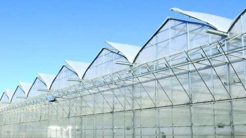 Top 10 Mistakes Greenhouse Growers Make When Planning An Expansion