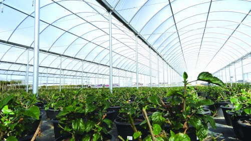 Growers Planning to Invest in Structures in 2017