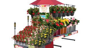 Costa Farms Promotes Tropic Escape Patio Collection
