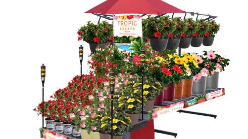 Costa Farms Promotes Tropic Escape Patio Collection