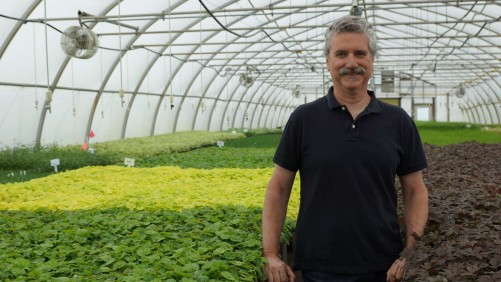 Growing With Ecology In Mind