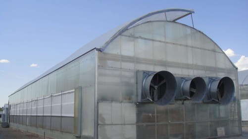 Natural Ventilation And Fog Increase Cooling Efficiency