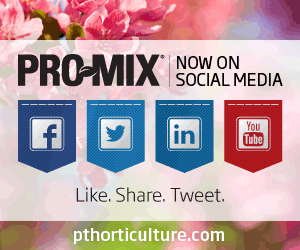 Pro-Mix Is Now On Social Media