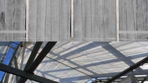Keeping Cool With Greenhouse Shading