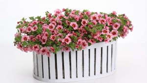 The Most Popular Stories That You Keep Reading