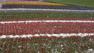 How Plant Protection and Quarantine Officials Are Using Analytics