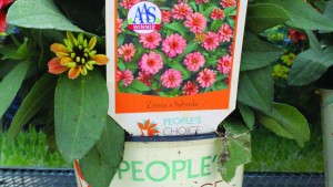 Two New Plant Marketing Concepts From Spring Trials 2013