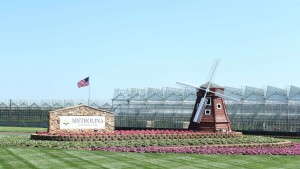 Metrolina Greenhouses Enters Purchase Agreement To Buy The Assets Of Stacy’s Greenhouses