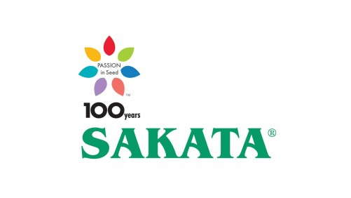 Sakata Celebrates A Century Of Excellence