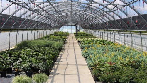 OFA Short Course Greenhouse Tour At A Glance