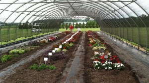 2024 Garden Symposium Set by the CCE-Chautauqua’s Master Gardener Program