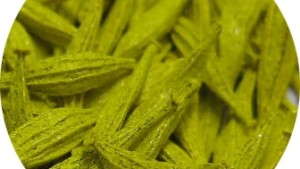 Infusion Technology Boosts Seed Performance, Study Suggests