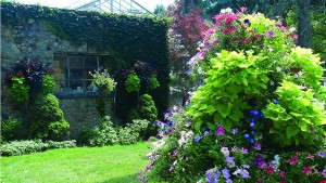 Gardens At Veteran Hospital Help Patients Heal With Plants