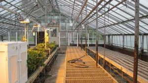 Time to Upgrade Your Greenhouse Operation?