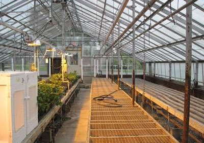 Time to Upgrade Your Greenhouse Operation?