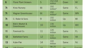 The State Of The Young Plant Market