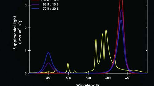 Comparing LED Lighting To High-Pressure Sodium Lamps