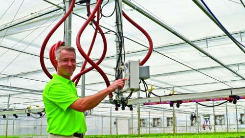 Propagation With LED Lighting