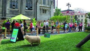 Bridging the Knowledge Gap in Consumer Horticulture