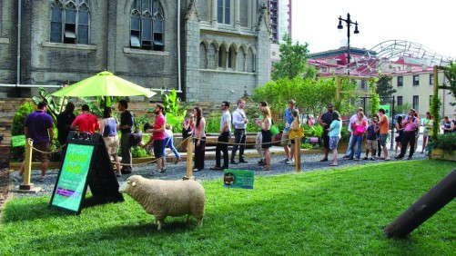 Bridging the Knowledge Gap in Consumer Horticulture