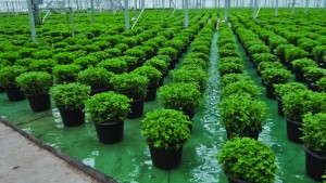 4 New Irrigation Products