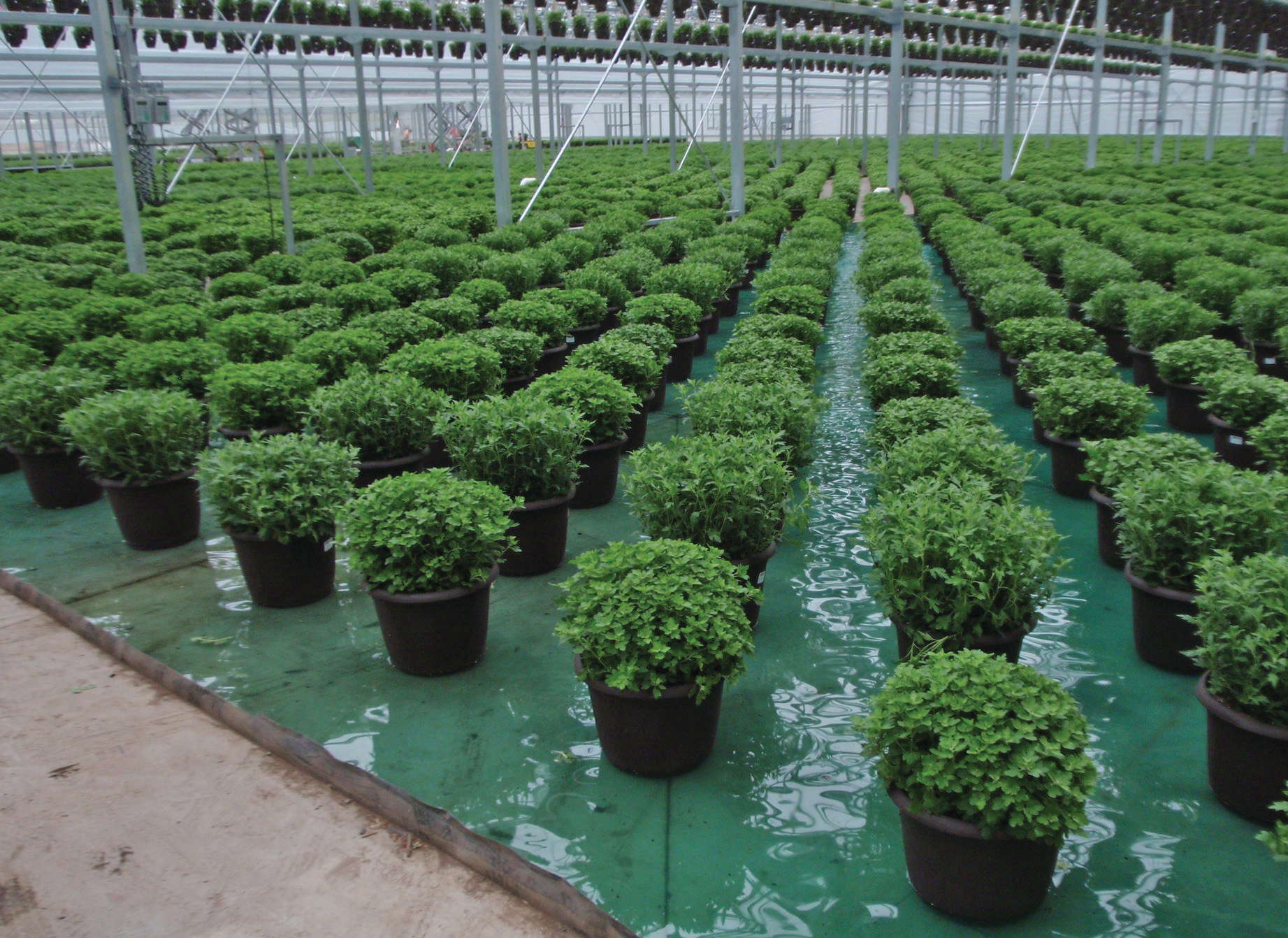 4 New Irrigation Products - Greenhouse Grower