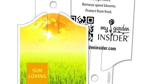 4 New Ways To Label Your Plants