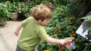 Ray Wiegand’s Nursery Attracts Kids With Its Butterfly And Caterpillar Houses [Photo Gallery]