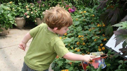 Ray Wiegand’s Nursery Attracts Kids With Its Butterfly And Caterpillar Houses [Photo Gallery]