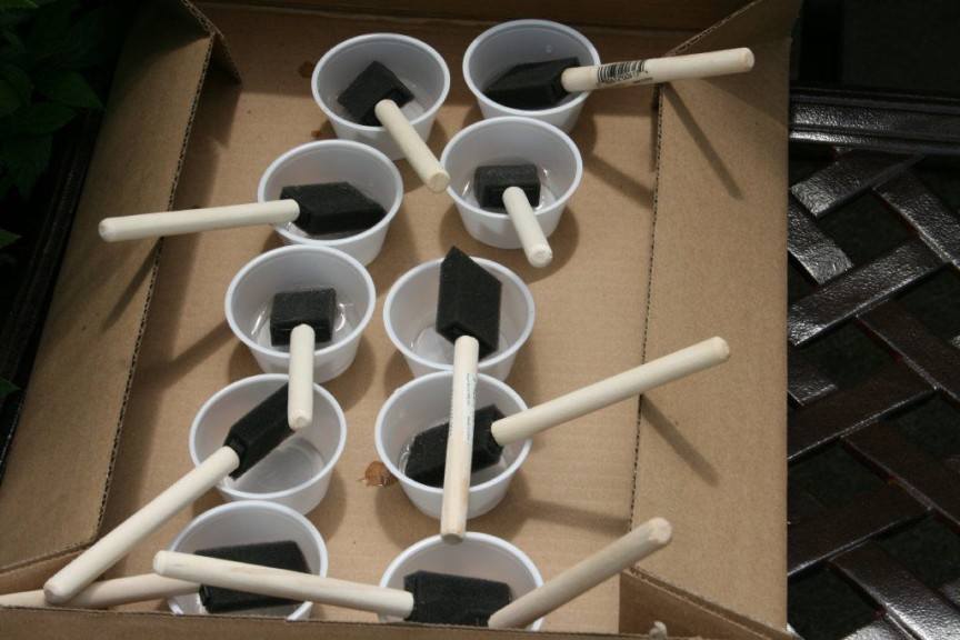 Supply the butterfly buffet