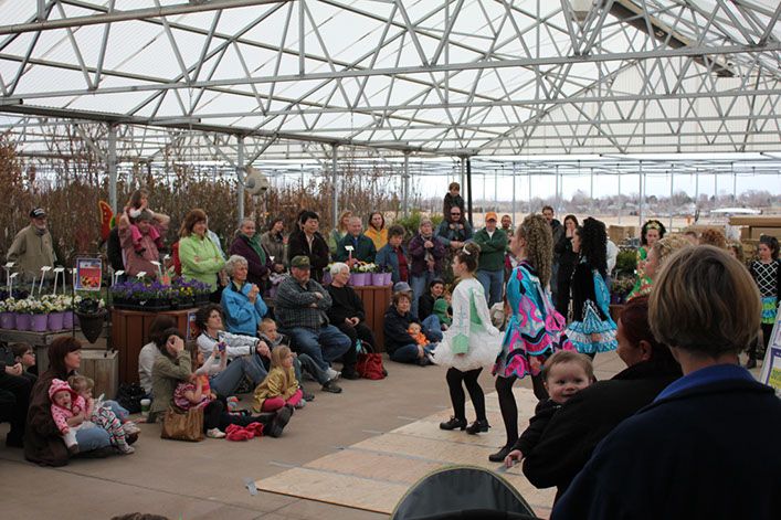 Irish Dancing At Gulley's Greenhouses