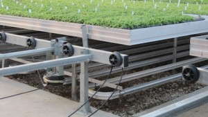 Greenhouse Heating System Upgrades Can Pay You Back