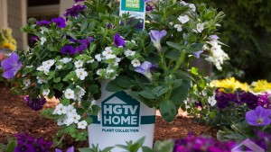 HGTV Home Collection Partners With Two New Growers