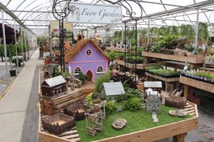 Fairy Garden Display 