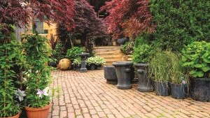 How To Appeal To Small-Space Gardeners