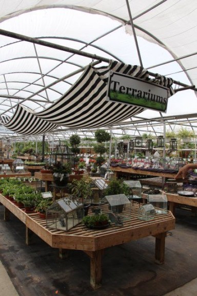 A Miniature Gardening Department At Hoen's Garden Center