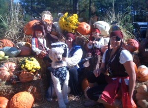 Pumpkins & Pooches Festival At The Good Earth
