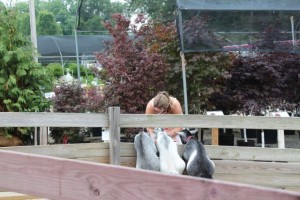 Pygmy Goats Are An Irresitable Draw At Grandma's Garden
