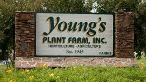 Young’s Plant Farm Founder Gene Young Dies