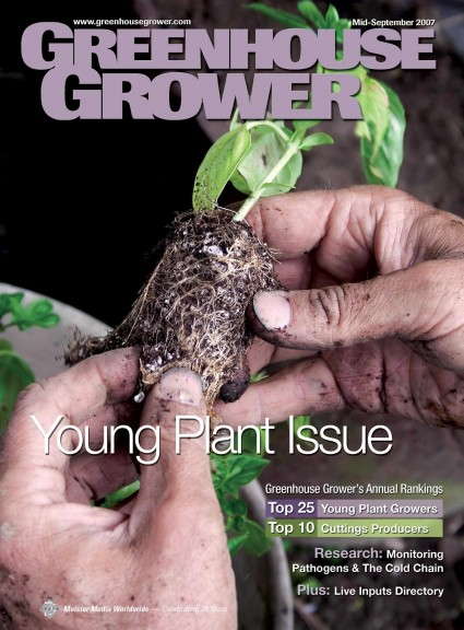 Young Plant Issue - Mid-September 2007 