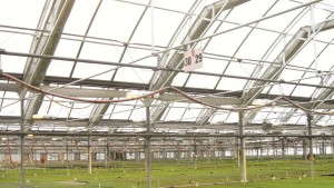 The Basics & Beyond: Understanding The Differences Between Photoperiodic And Supplemental Lighting