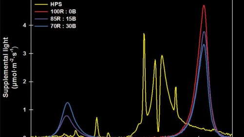 Comparing LED Lighting To HPS Lamps For Plug Production
