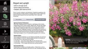 Suntory Flowers Releases Its New Grower’s Guide App